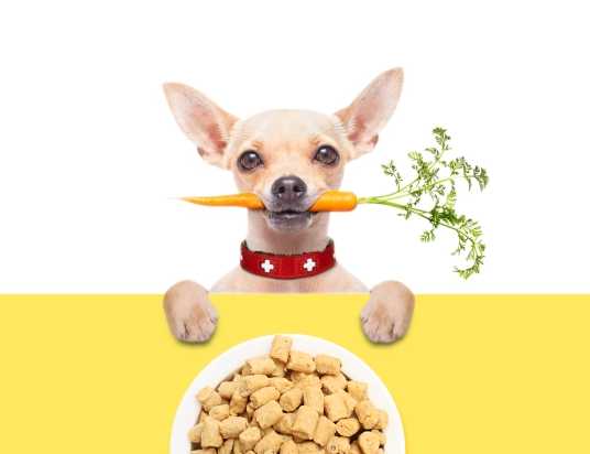 如何选择性价比高的宠物食品包装机