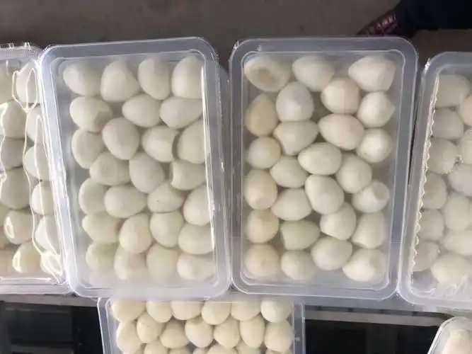 整线解决方案，优化生产流程：鹌鹑蛋包装神器来袭