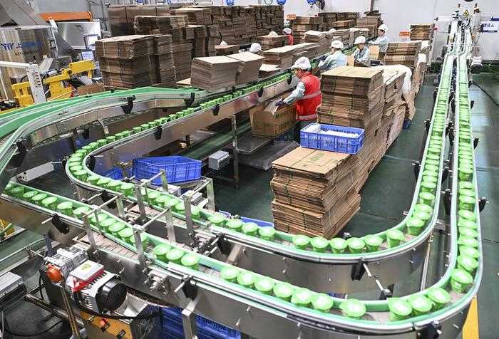 工厂高效生产的秘密：一文掌握包装设备的正确使用与维护技巧