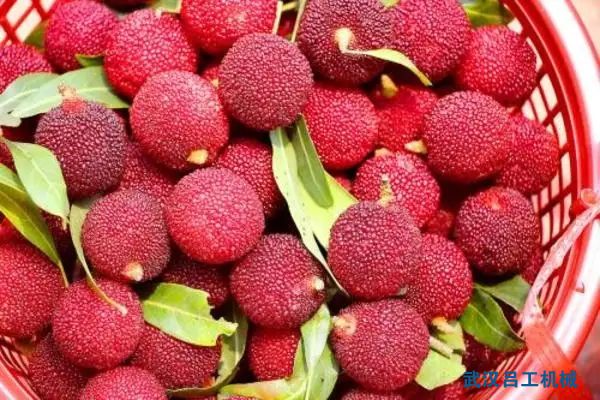 1657875565674108.jpg src=http___img4.99114.com_group3_M00_57_54_rBADvFtiu_SAWYfUAAD6i0l2orc422_600_600.jpg&refer=http___img4.99114.webp.jpg