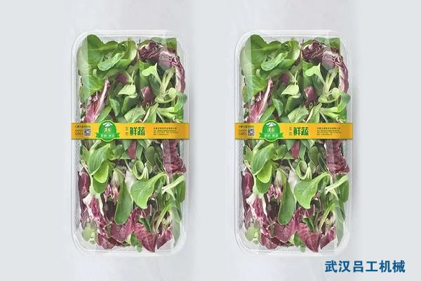 1658478743882062.jpg u=1269021416,3796091625&fm=253&fmt=auto&app=138&f=JPEG.webp.jpg