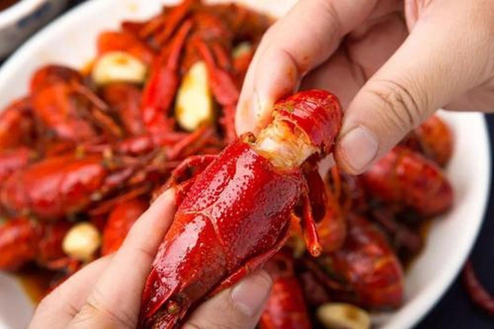 1731735466390289.jpg 小龙虾01.jpg