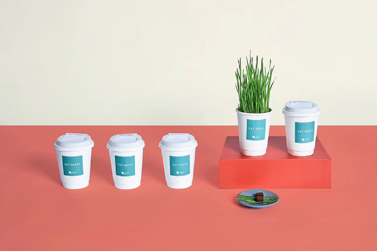 1742971036306023.jpg 猫草杯02.jpg